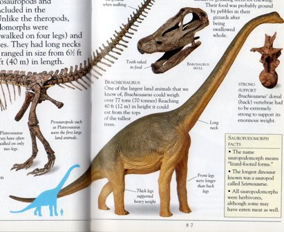 02 bl brachiosaurus恐竜.jpg