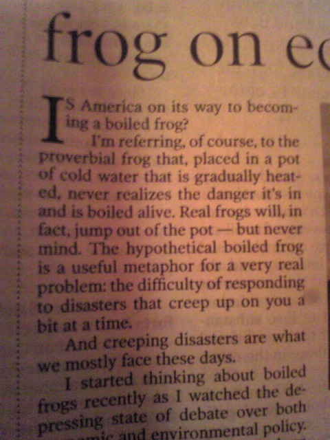 boiled frog.jpg